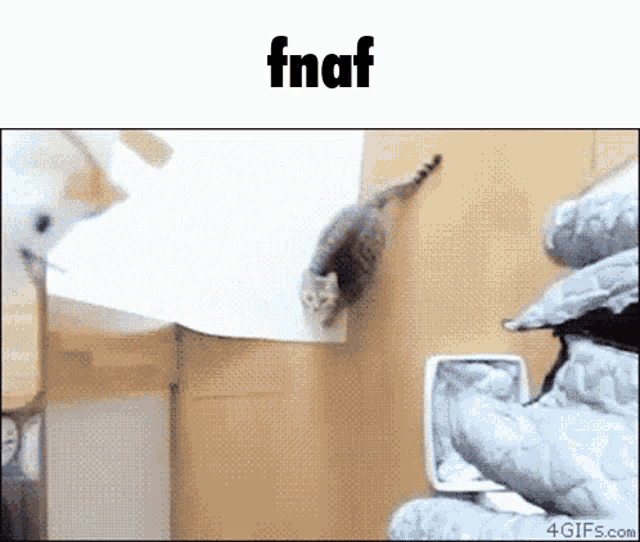 a cat is jumping on top of a box with the word fnaf below it