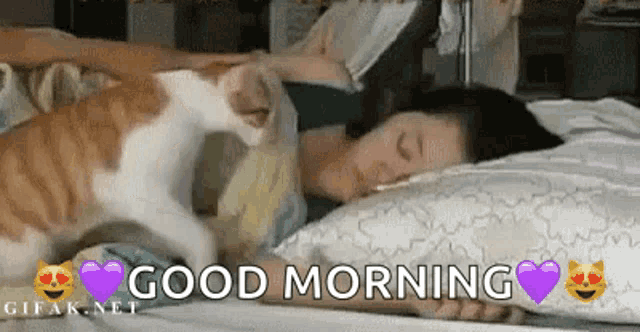 a cat is petting a woman sleeping on a bed with the words good morning