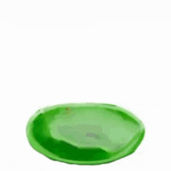 a green baygon cup on a green saucer