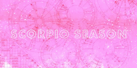 Scorpio Season GIF - Scorpio Season Scorpio GIFs