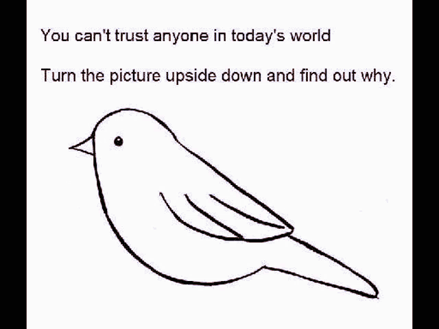 Cant Trust Anybody Bird GIF