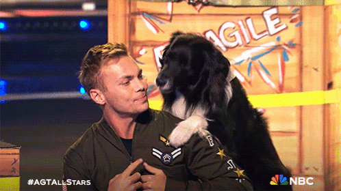 Getting Licked Americas Got Talent All Stars GIF - Getting Licked Americas Got Talent All Stars Loving Dog GIFs