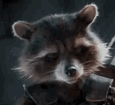rocket raccoon from guardians of the galaxy is wearing a armor and looking at the camera with his eyes closed .