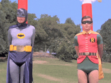 two men dressed as batman and robin are standing next to each other in a field