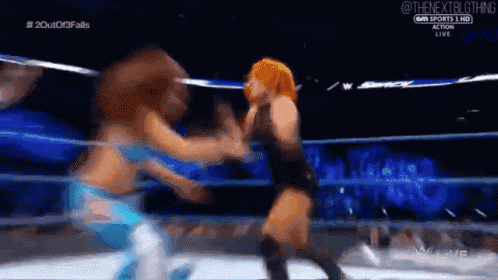two female wrestlers are fighting in a wrestling ring on a television screen .