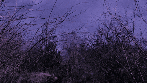 a werewolf with its mouth open is standing in the woods