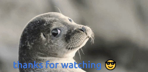 Seal With It GIF - Seal With It GIFs