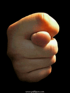 a close up of a person 's fist with the website www.pullface.com below it