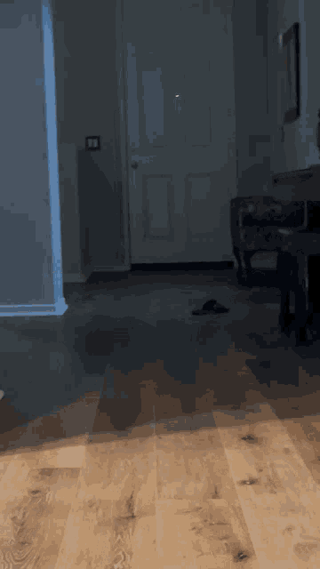 a dark hallway with a wooden floor and a chair