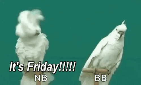 Its Friday Birds GIF - Its Friday Birds Cockatoo GIFs