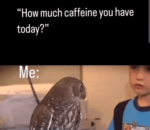 a boy talking to an owl with the words " how much caffeine you have today " below it