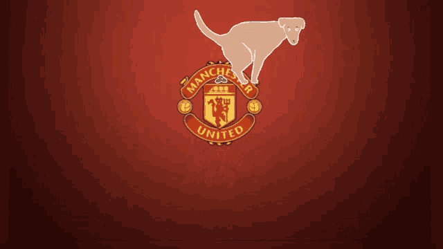 manchester united logo with a dog on it