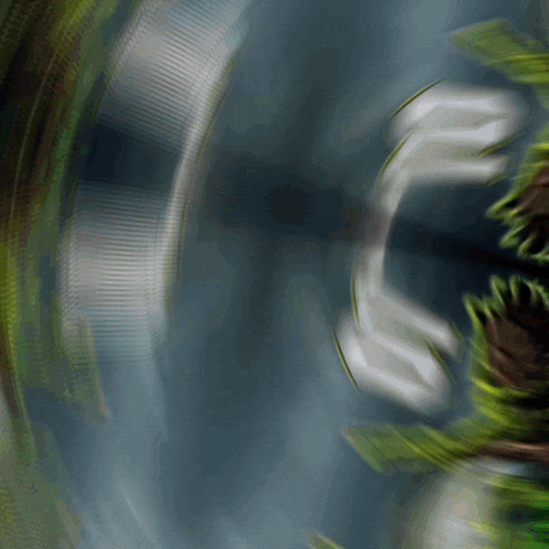 a blurred image of a plant with a few leaves coming out of it