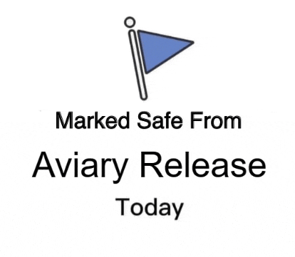 a blue flag with the words marked safe from aviary release today below it .