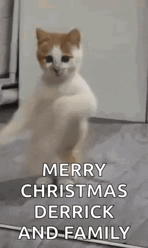 a cat is standing on its hind legs and saying merry christmas to derrick and family .