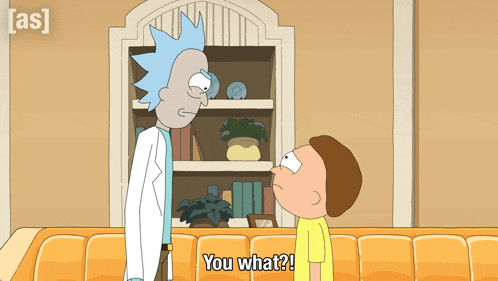 a cartoon of rick and morty talking to each other with the caption " you what "