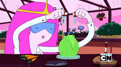 Pb Bubblegums GIF - Pb Bubblegums Adventure Time GIFs