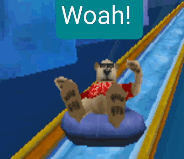 a bear is riding a tube down a water slide with a woah sign above him
