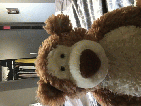 Bear Teddy Bear GIF