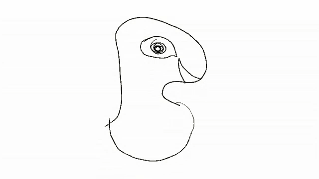 a black and white drawing of a parrot with a big eye