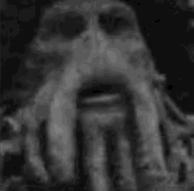 a black and white photo of a man with a beard