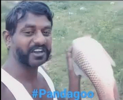 Pandago Pandagoo GIF - Pandago Pandagoo Pandagoww GIFs
