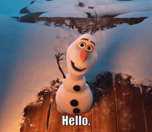 Olafs Frozen Adventure Olaf GIF - Olafs Frozen Adventure Olaf Hello Darkness GIFs