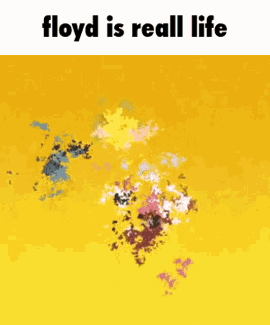 a pixel art of a person with the words floyd is real life