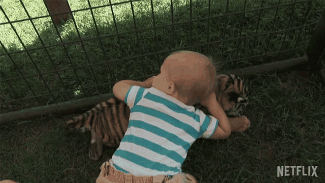 Baby Tiger GIF - Baby Tiger Love GIFs