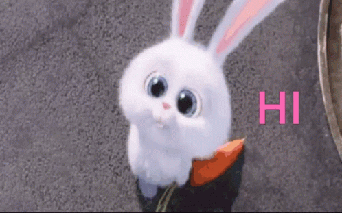 Snowball Rabbit GIF - Snowball Rabbit Hi GIFs