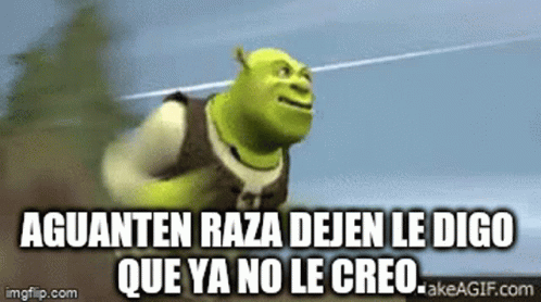 Shrek Raza GIF - Shrek Raza Run GIFs