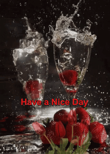 a have a nice day card with strawberries and wine