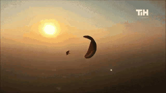 Sky Gliding This Is Happening GIF - Sky Gliding This Is Happening Paragliding GIFs