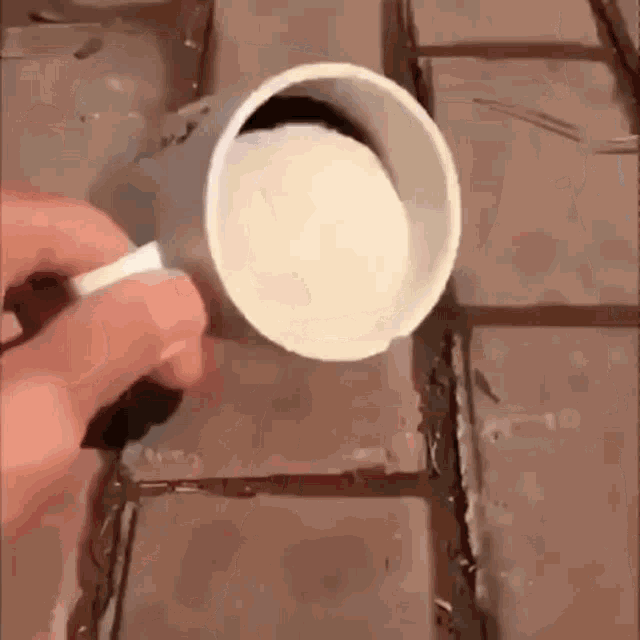 Hamster Cup GIF - Hamster Cup Jump GIFs