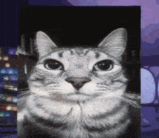 a close up of a cat 's face with a dark background