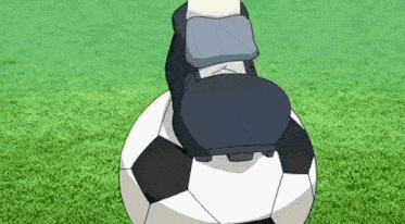 a person is kicking a soccer ball on the grass