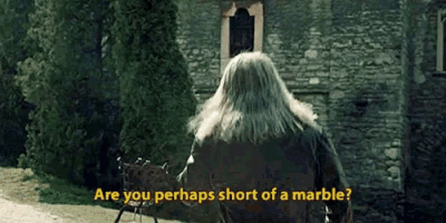 Witcher Are You GIF - Witcher Are You Perhaps GIFs