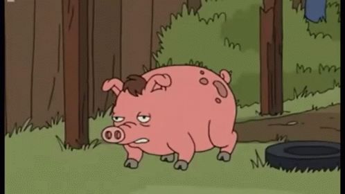 Pig Explosion GIF - Pig Explosion Explode GIFs