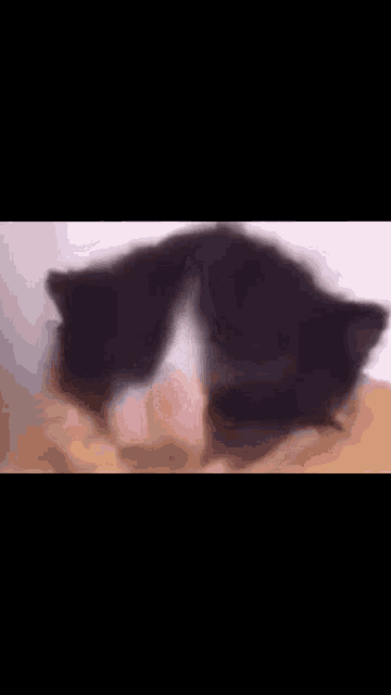 a black and white cat is laying on a bed with its eyes closed .