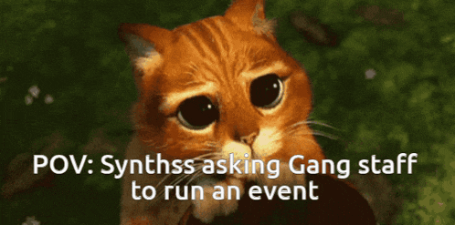 a sad cat with the words synthss asking gang staff to run an event below it