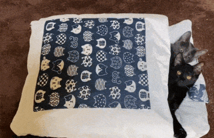 two cats are laying on a pillow with a pattern of cats on it