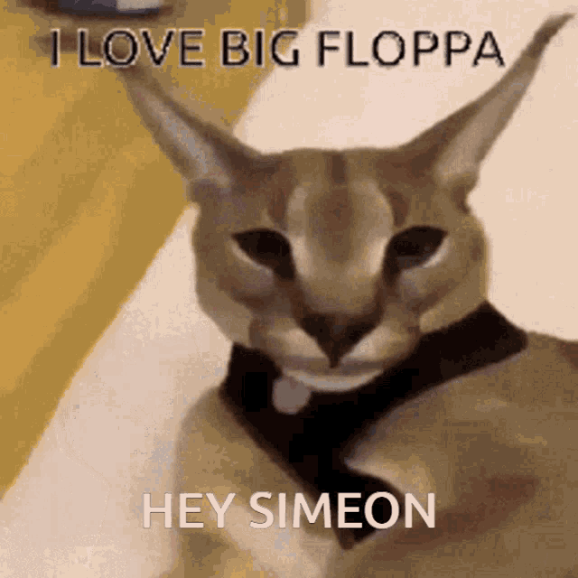 Floppa Simeon GIF - Floppa Simeon Big Floppa GIFs