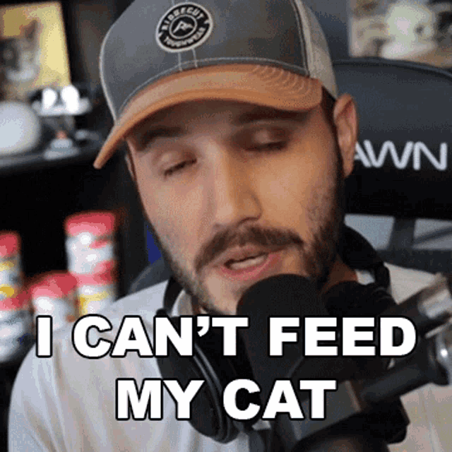 I Cant Feed My Cat Loochy GIF