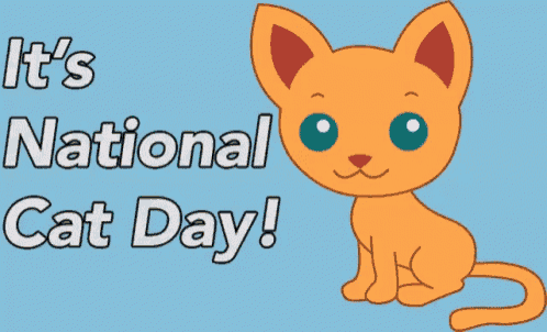 a picture of a cat with the words it 's national cat day