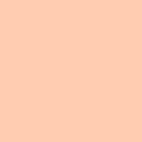 a cartoon drawing of a raccoon standing on its hind legs on a pink background