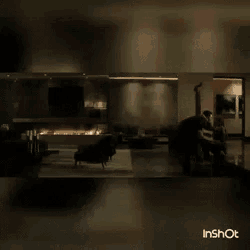 a video of a living room with the words inshot on the bottom left