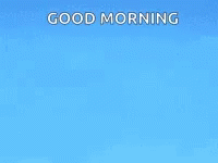 Good Morning Owl GIF - Good Morning Owl Bounce GIFs