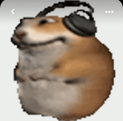 a hamster wearing headphones on its head is smiling .