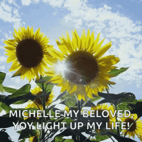 michelle my beloved you light up my life !