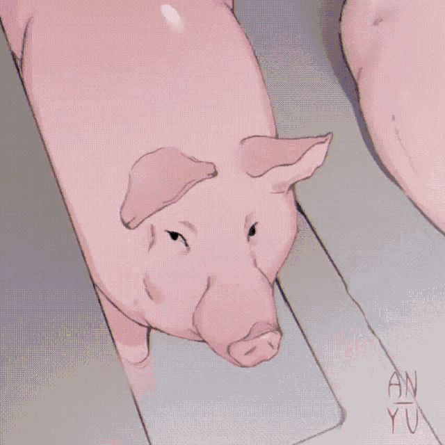 Pig свинья GIF - Pig свинья GIFs